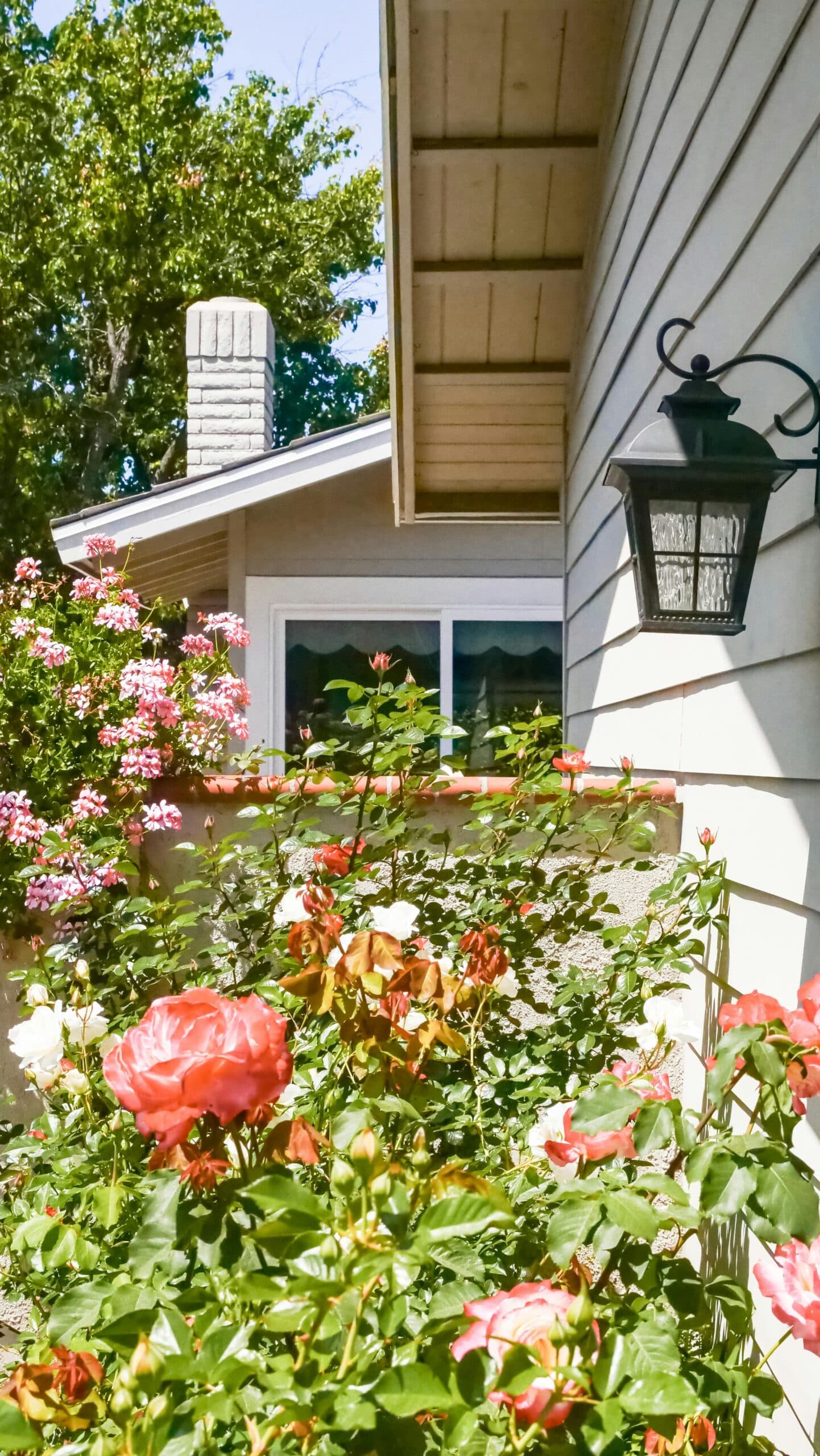 Gemüse und Pflanzen - billede 6