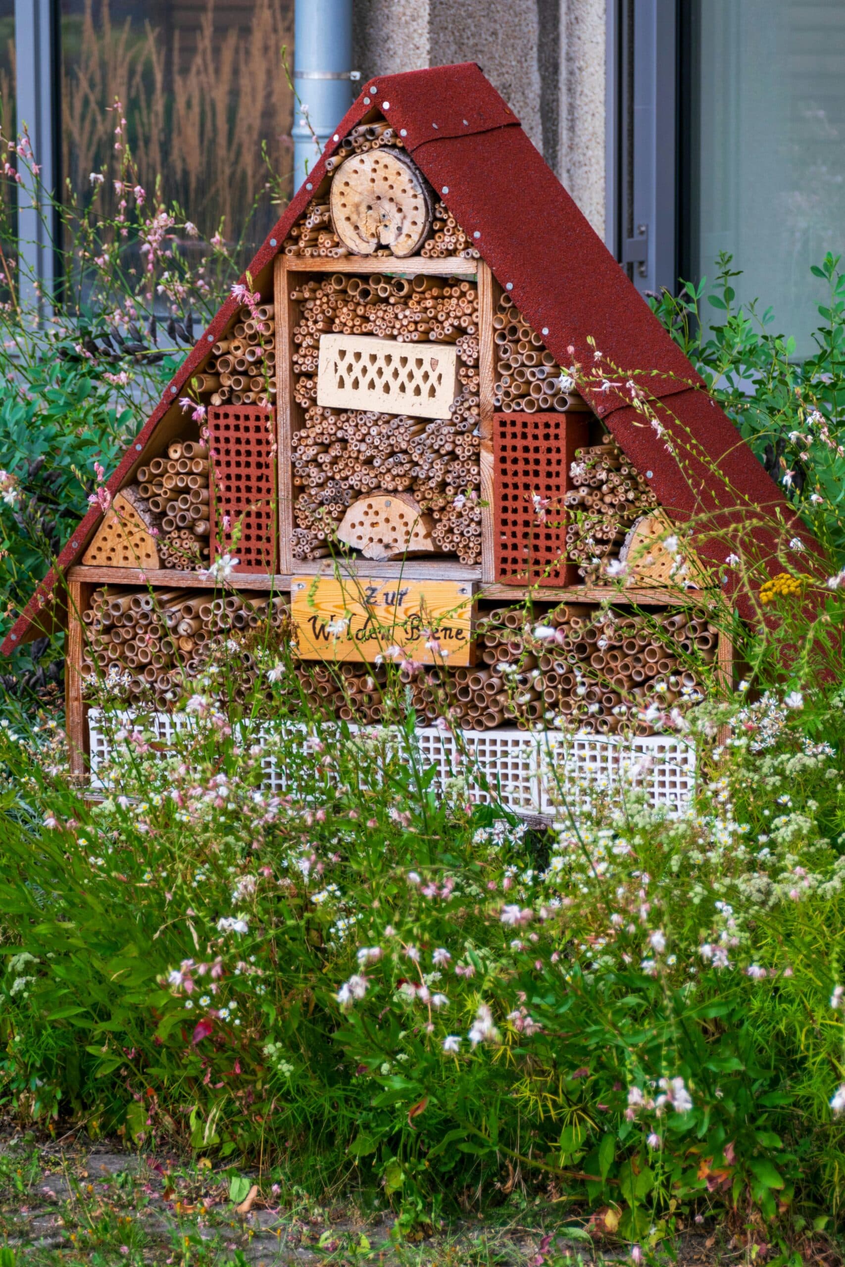 leben im garten - billede 8