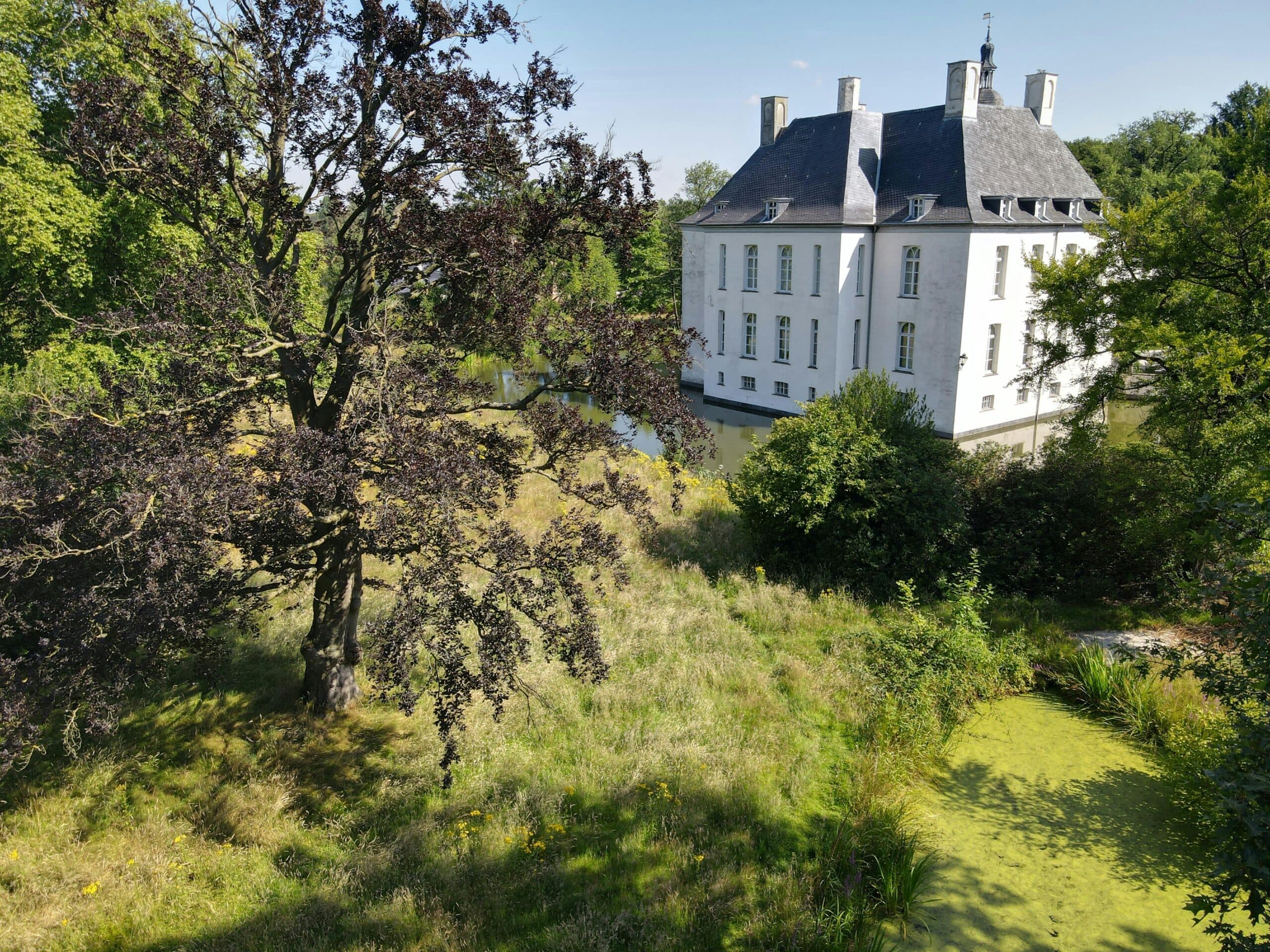 ferienhaus betreung - billede 4